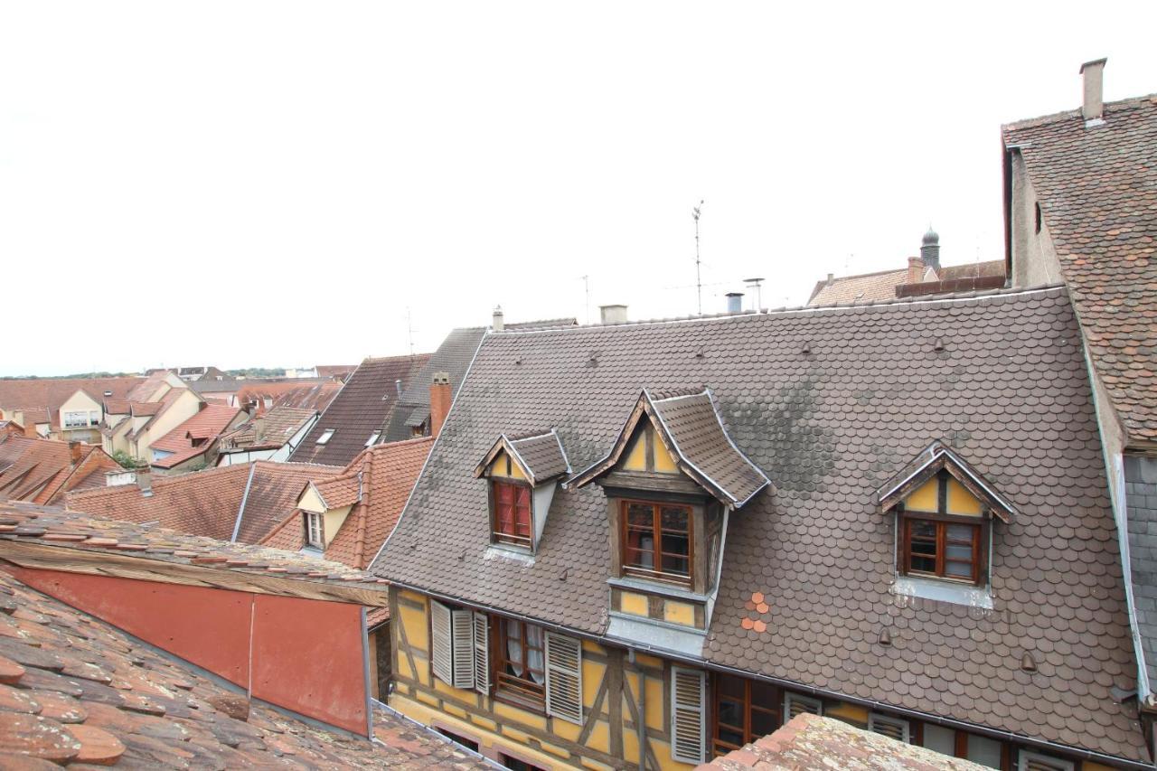 Colmar City Center - Appartement Petit Ours - Bookingalsace Kültér fotó