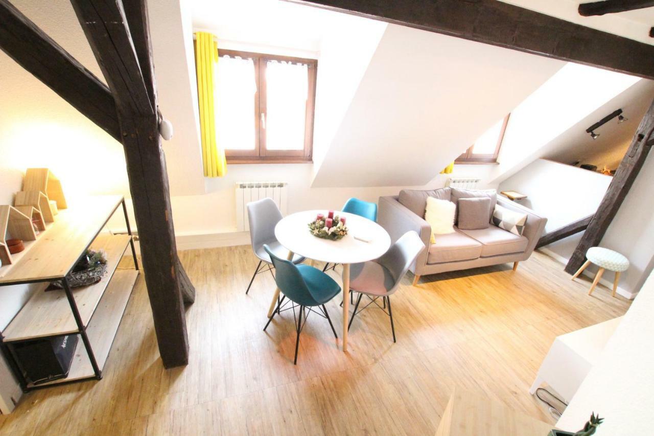 Colmar City Center - Appartement Petit Ours - Bookingalsace Kültér fotó