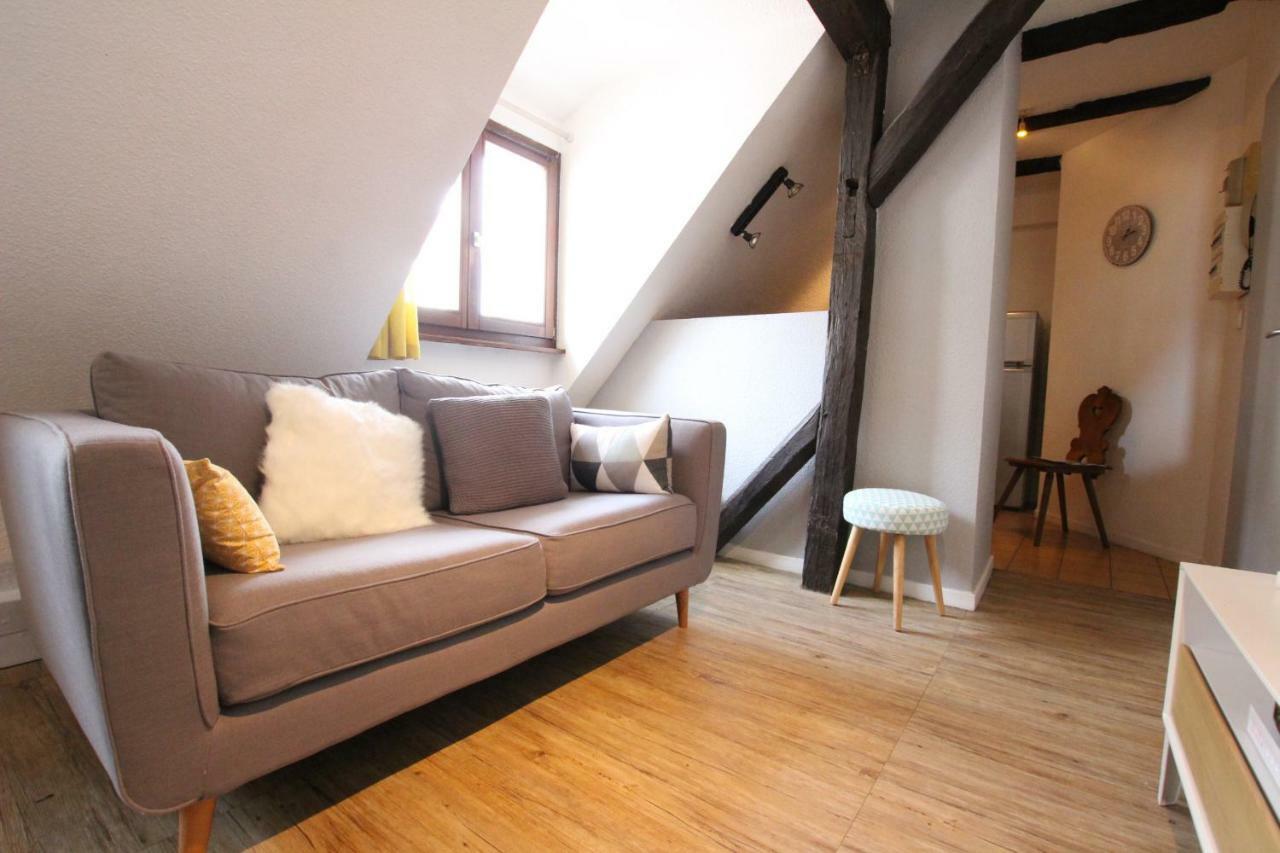 Colmar City Center - Appartement Petit Ours - Bookingalsace Kültér fotó