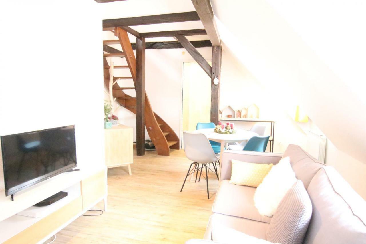Colmar City Center - Appartement Petit Ours - Bookingalsace Kültér fotó